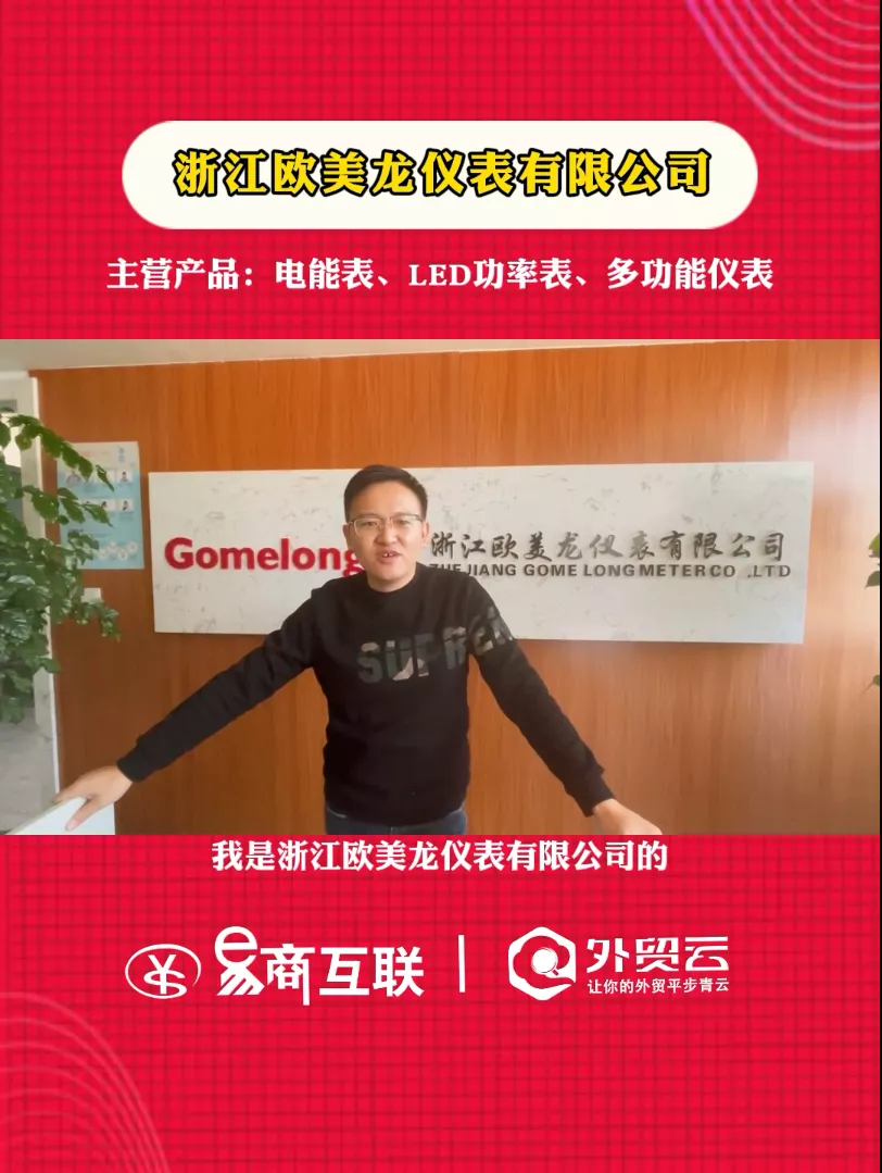 浙江欧美龙仪表有限公司